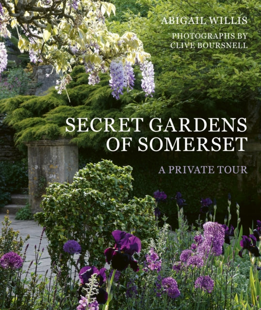 Secret Gardens of Somerset : A Private Tour by Abigail Willis 9781836004912