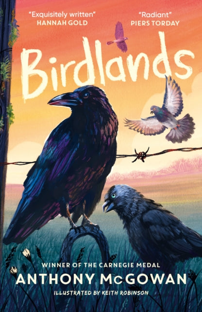 Birdlands : 'One of McGowan's best.' The Telegraph best new children's books by Anthony McGowan 9781836431800