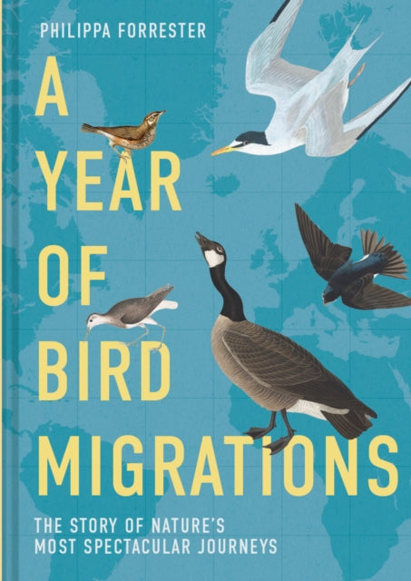 A Year of Bird Migrations : The story of nature's most spectacular journeys by Philippa Forrester 9781837330270