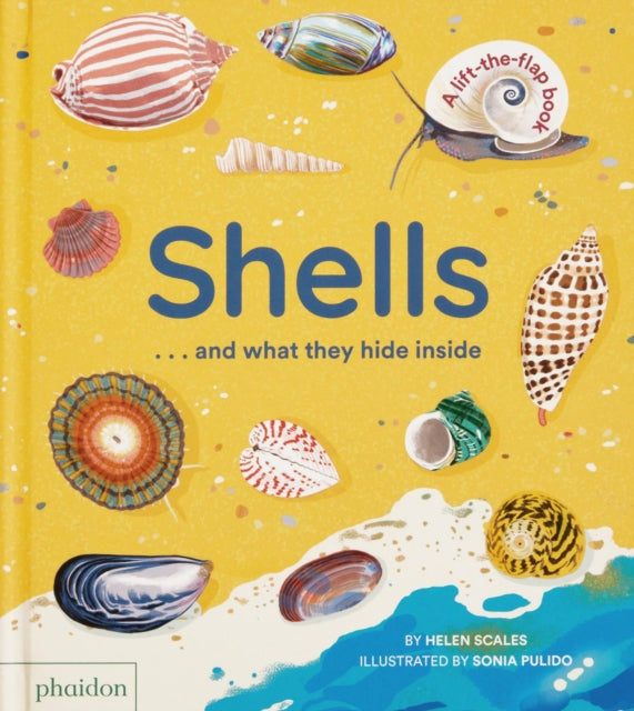 Shells... and what they hide inside : A Lift-the-Flap Adventure by Helen Scales 9781838667887