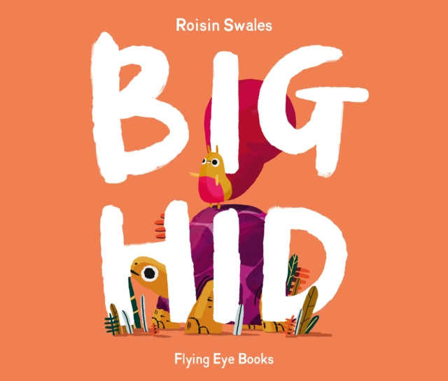 Big Hid by Roisin Swales 9781838741150