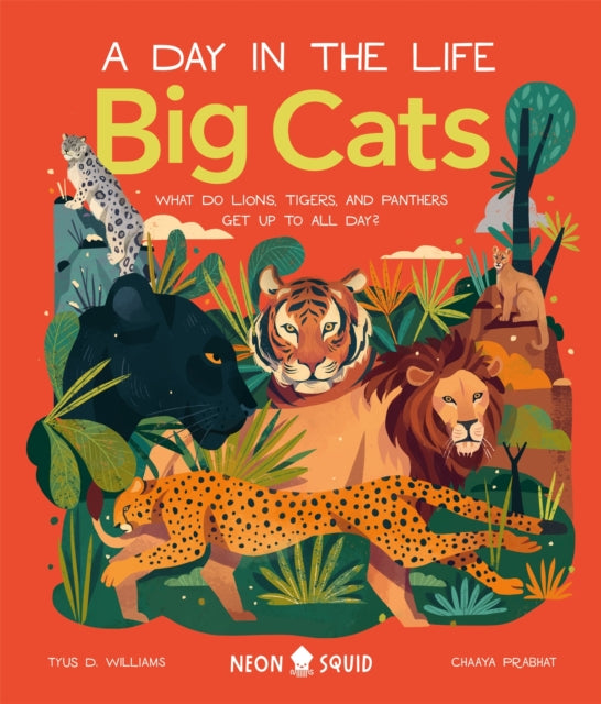Big Cats (A Day in the Life) : What Do Lions, Tigers and Panthers Get up to All Day? by Tyus D. Williams 9781838991548