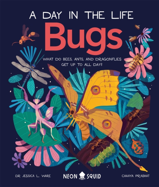 Bugs (A Day in the Life) : What Do Bees, Ants, and Dragonflies Get up to All Day? by Dr.Jessica L. Ware 9781838991555