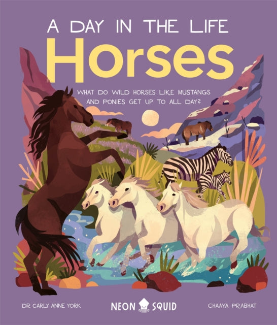 Horses (A Day in the Life) : What Do Wild Horses like Mustangs and Ponies Get Up To All Day? by Carly Anne York 9781838992309