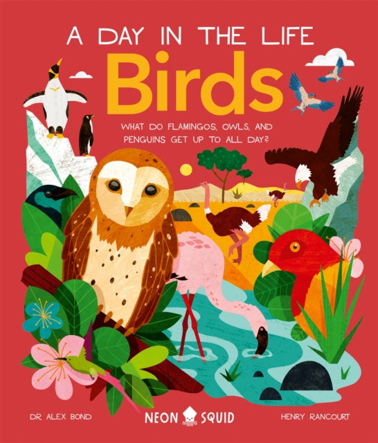 Birds (A Day in the Life) : What Do Flamingos, Owls, and Penguins Get Up To All Day? by Alex Bond 9781838992705