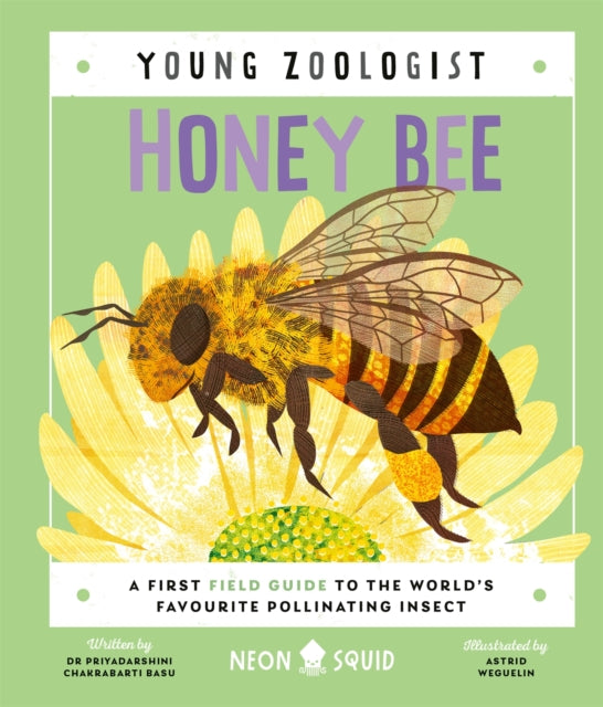 Honey Bee (Young Zoologist) : A First Field Guide to the World’s Favourite Pollinating Insect by Priyadarshini Chakrabarti Basu 9781838992712