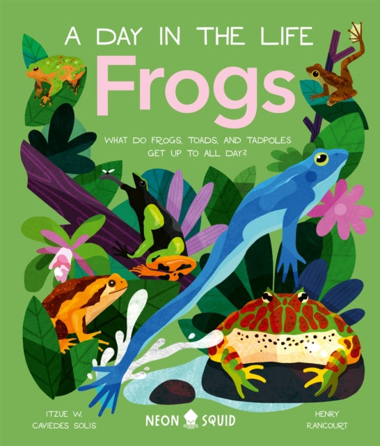 Frogs (A Day in the Life) : What Do Frogs, Toads, and Tadpoles Get Up to All Day? by Itzue W. Caviedes-Solis 9781838992880