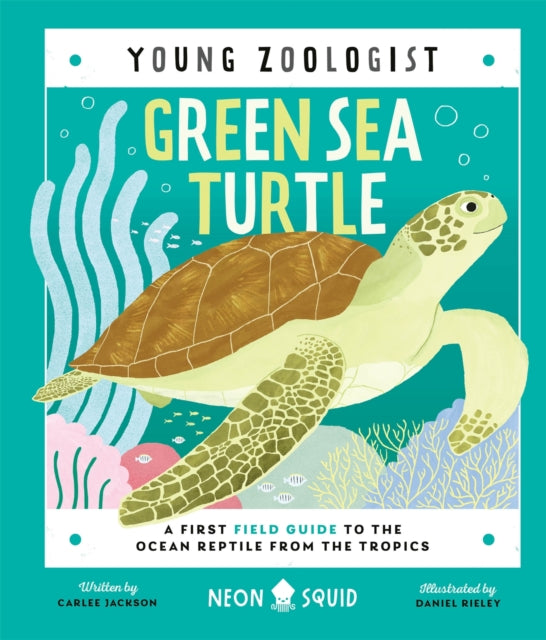 Green Sea Turtle (Young Zoologist) : A First Field Guide to the Ocean Reptile from the Tropics by Carlee Jackson 9781838992897