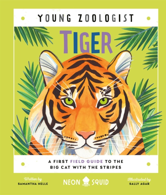 Tiger (Young Zoologist) : A First Field Guide to the Big Cat with the Stripes by Samantha Helle 9781838993252
