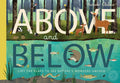 Above and Below by Patricia Hegarty 9781848576070