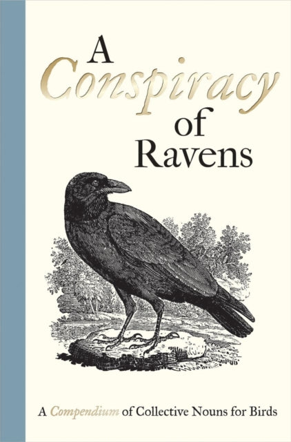 A Conspiracy of Ravens : A Compendium of Collective Nouns for Birds by Thomas Bewick 9781851244096