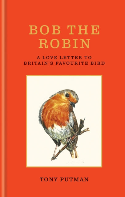 Bob the Robin : A love letter to Britain's favourite bird by Tony Putman 9781856755313