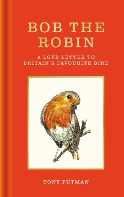 Bob the Robin : A true story of the friendship between one man and Britain's favourite garden bird by Tony Putman 9781856755320