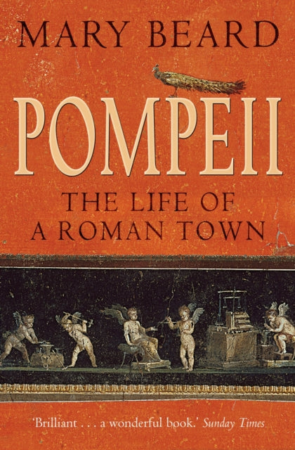 Pompeii : The Life of a Roman Town