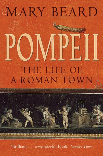 Pompeii : The Life of a Roman Town by Professor Mary Beard 9781861975966