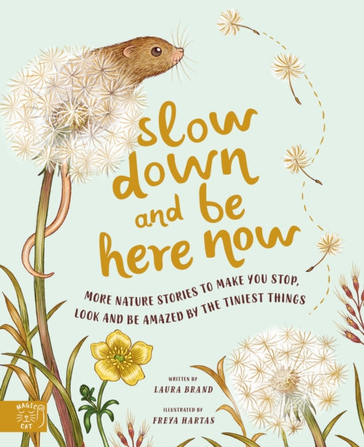 Slow Down and Be Here Now : More Nature Stories to Make You Stop, Look and Be Amazed by the Tiniest Things by Laura Brand 9781913520656