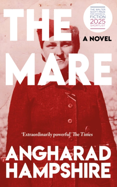The Mare : A Novel by Angharad Hampshire 9781915179821