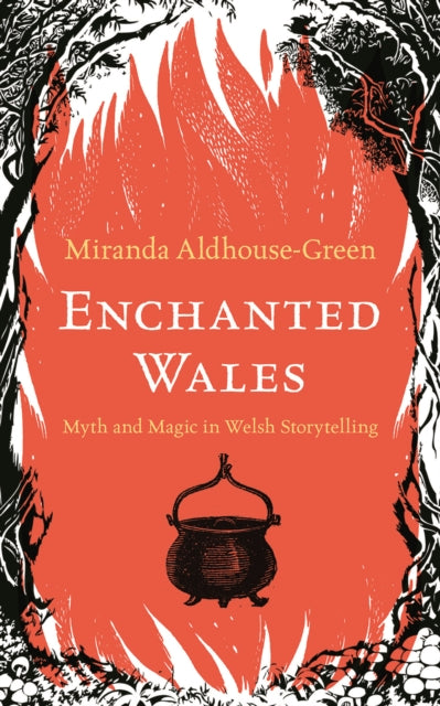 Enchanted Wales : Myth and Magic in Welsh Storytelling by Miranda Aldhouse-Green 9781915279187