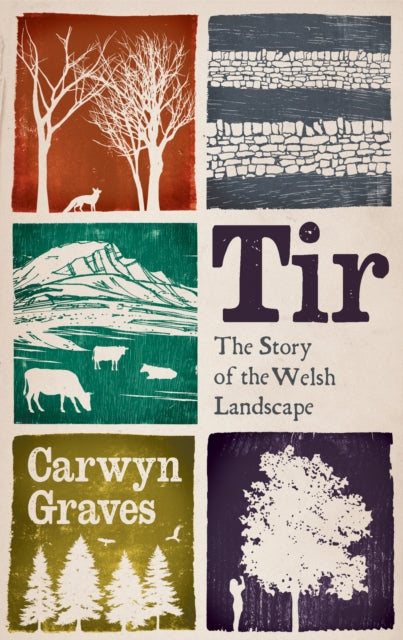 Tir : The Story of the Welsh Landscape by Carwyn Graves 9781915279675