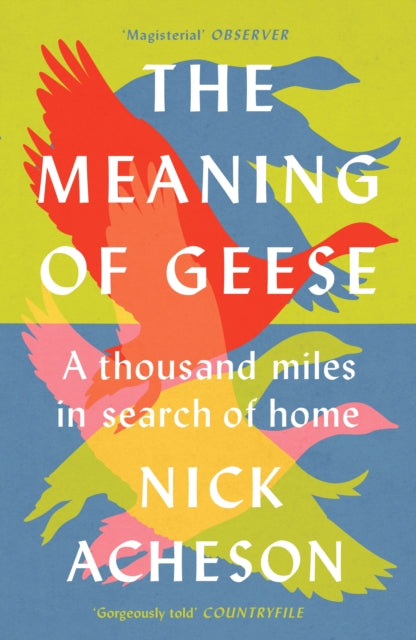 The Meaning of Geese : A Thousand Miles in Search of Home by Nick Acheson 9781915294258