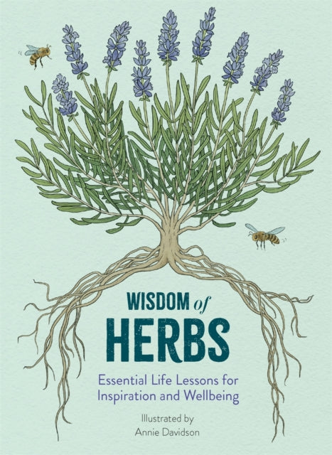 Wisdom of Herbs : Essential Life Lessons for Inspiration and Wellbeing by Alison Davies 9781915751508