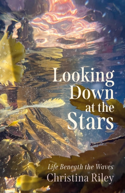 Looking Down at the Stars : Life beneath the waves by Christina Riley 9781916812550