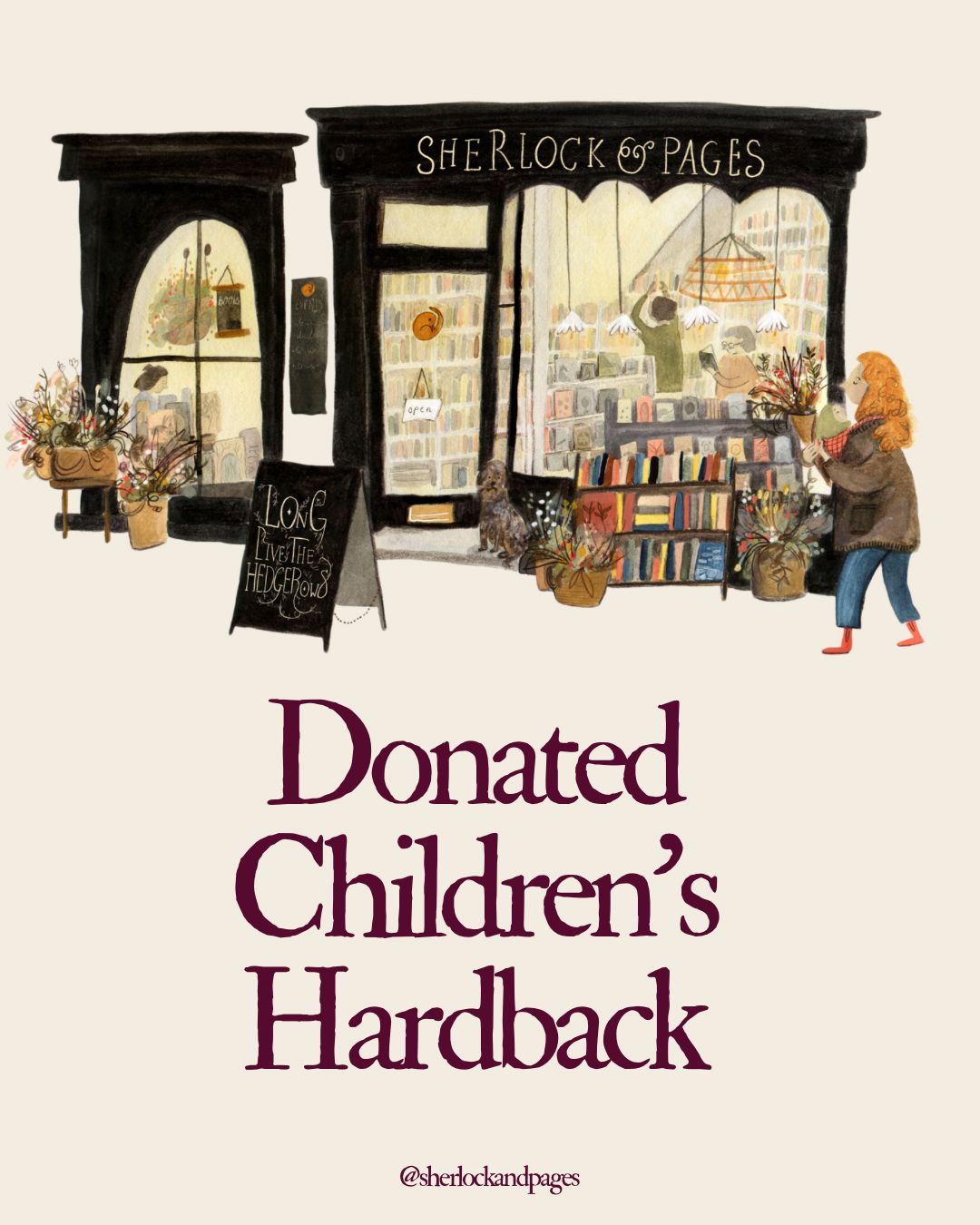 Donated Children's Hardback Book