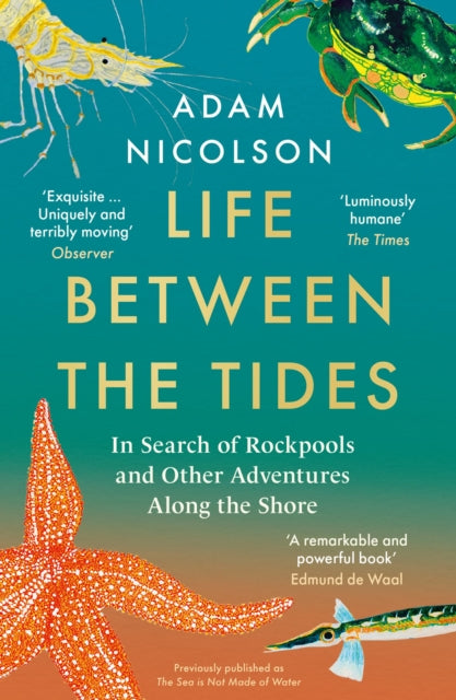 Life Between the Tides : In Search of Rockpools and Other Adventures Along the Shore-9780008294816