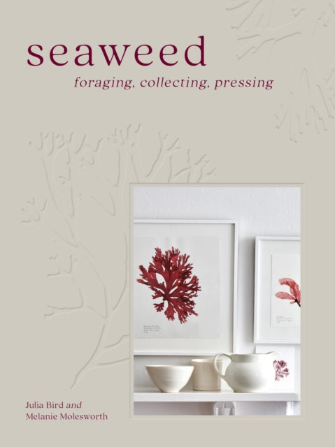 Seaweed : Foraging, Collecting, Pressing by Melanie Molesworth 8611819782442