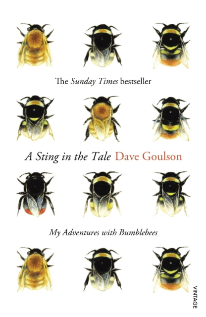 A Sting in the Tale : My Adventures with Bumblebees by Dave Goulson 9780099575122