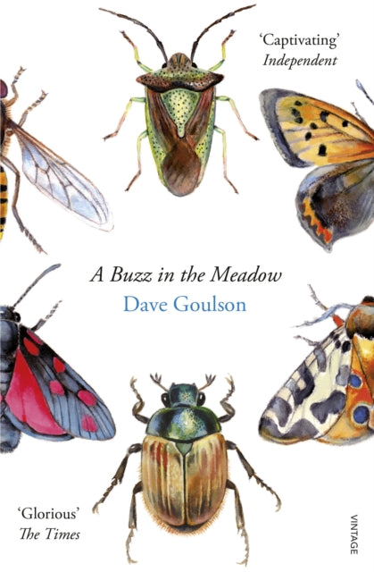 A Buzz in the Meadow-9780099597698