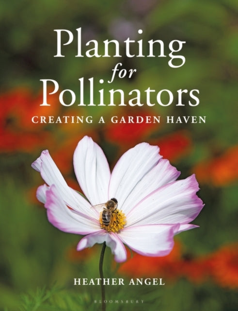 Planting for Pollinators : Creating a Garden Haven-9781399403023