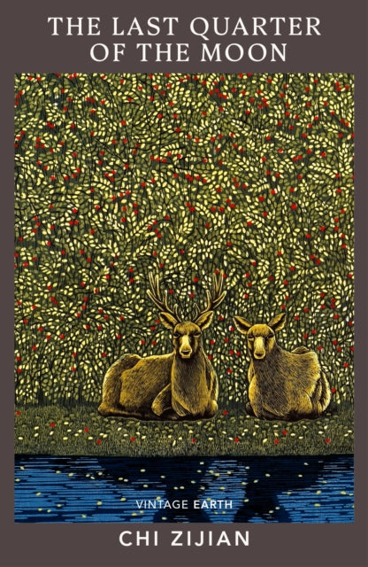 The Last Quarter of the Moon : A novel from the Vintage Earth collection by Chi Zijian 9781784877897