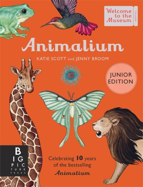 Animalium (Junior Edition)-9781800783706