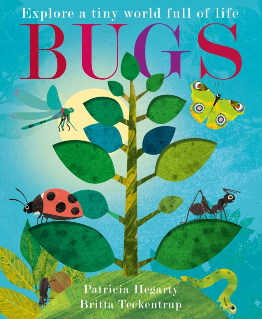 Bugs by Patricia Hegarty 9781801044677