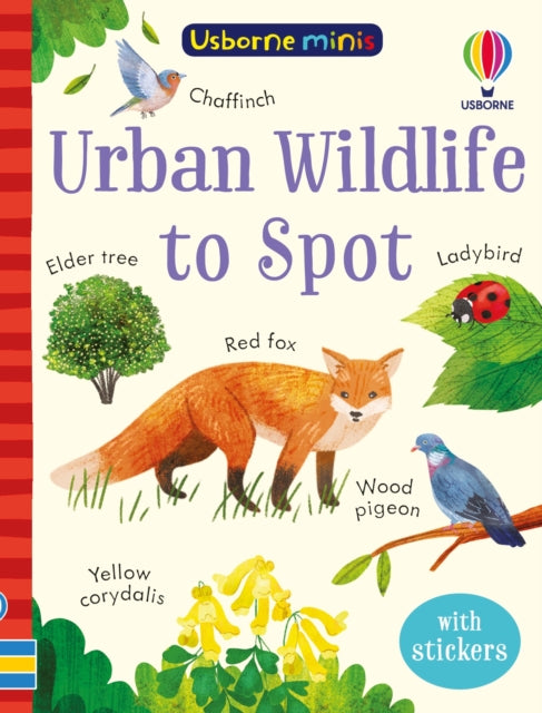Urban Wildlife to Spot-9781803704746