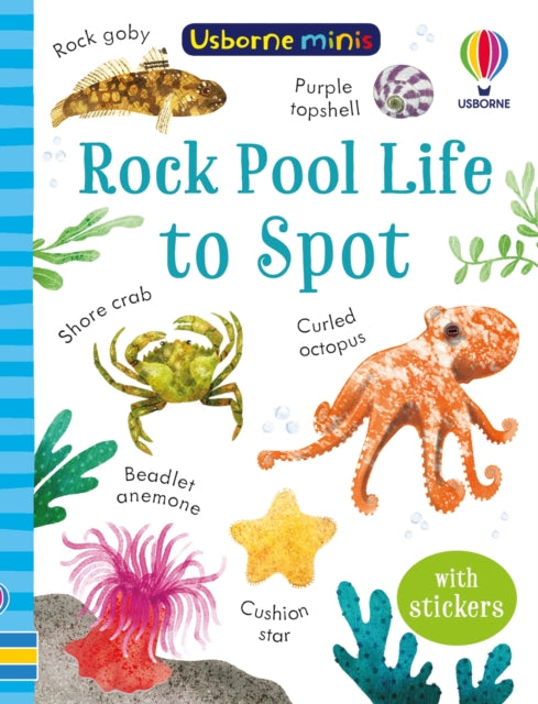 Rock Pool Life to Spot by Simon Tudhope 8611739238698