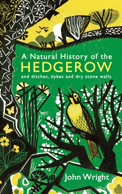 A Natural History of the Hedgerow : and ditches, dykes and dry stone walls-9781846685538