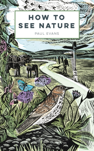 How to See Nature by Paul Evans 9781849945813