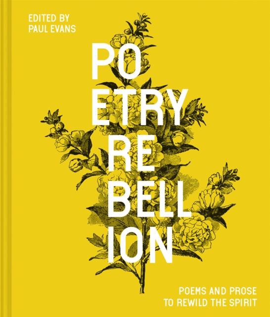 Poetry Rebellion : Poems and prose to rewild the spirit by Paul Evans 9781849946384