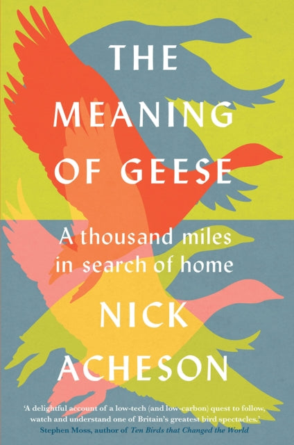 The Meaning of Geese : A Thousand Miles in Search of Home-9781915294098